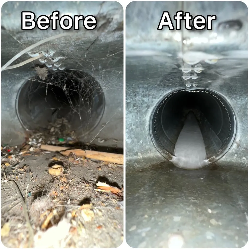 Musty Smell From Your Vents After the Rainy Season